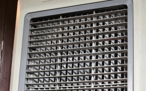 سبسيبسيبسي